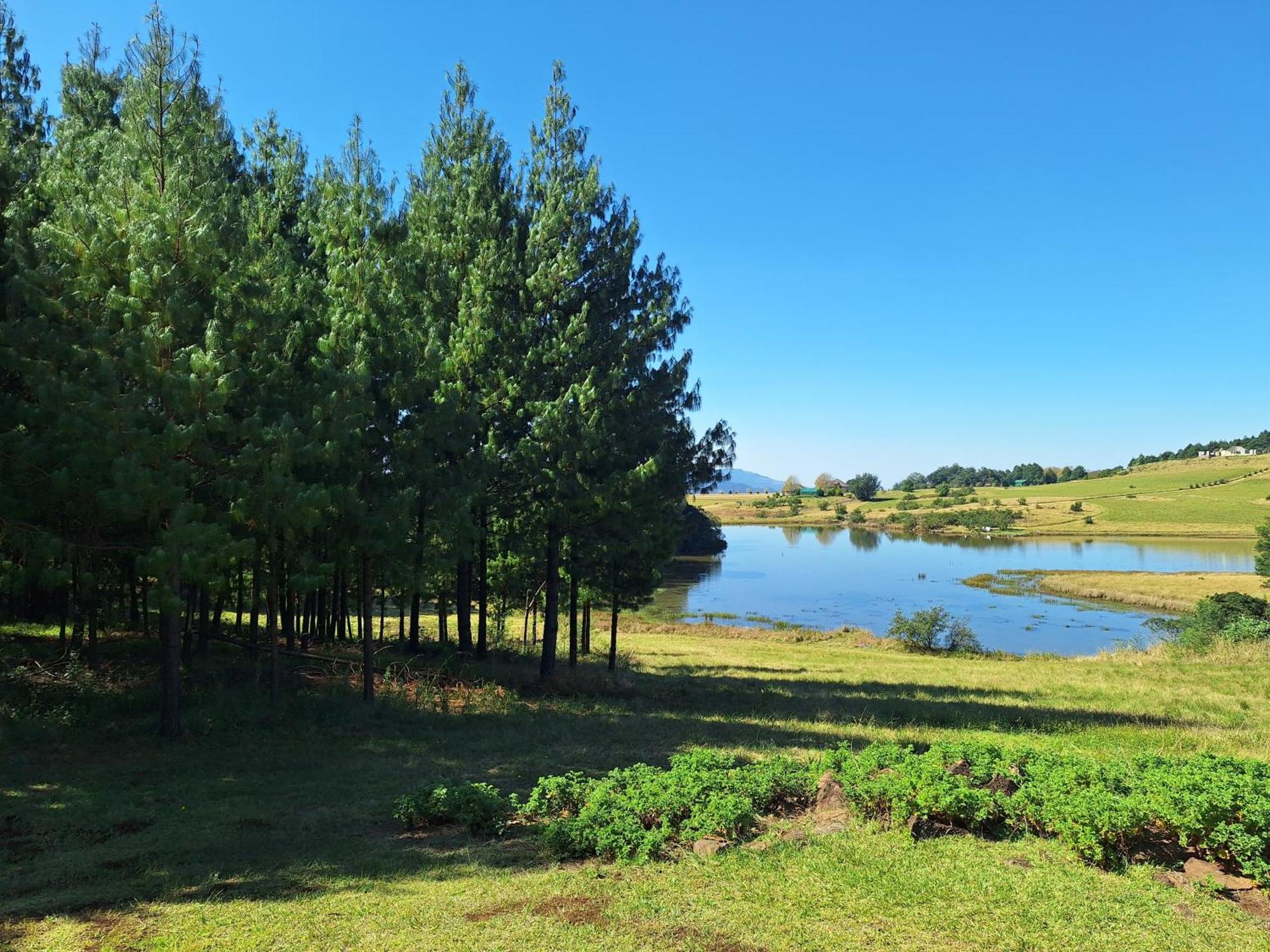 Lakeview Cottage, Curry's Post - Solar Powered * Howick